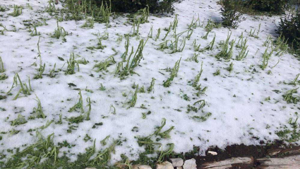 Konya yolundaki çiftçileri don ve selden sonra dolu vurdu 6
